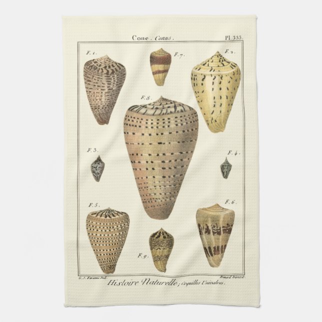Vintage Cone Shells Tea Towel (Vertical)