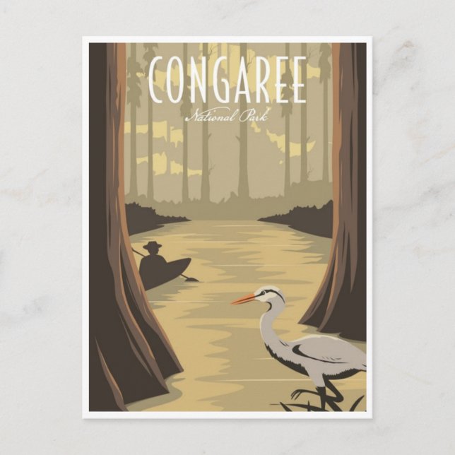 vintage Congaree National Park South Carolina Postcard (Front)
