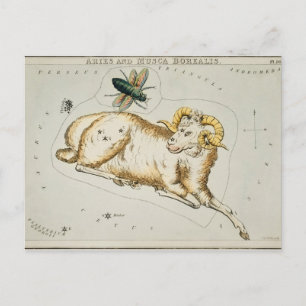 Vintage Constellation Illustration Postcard