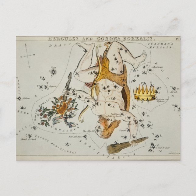 Vintage Constellation Illustration Postcard (Front)