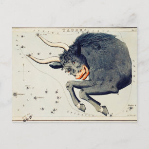 Vintage Constellation Illustration Postcard