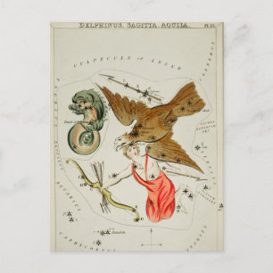Vintage Constellation Illustration Postcard