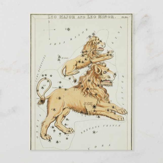 Vintage Constellation Illustration Postcard (Front)