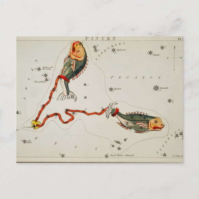 Vintage Constellation Illustration Postcard (Front)