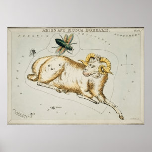 Vintage Constellation Illustration Poster