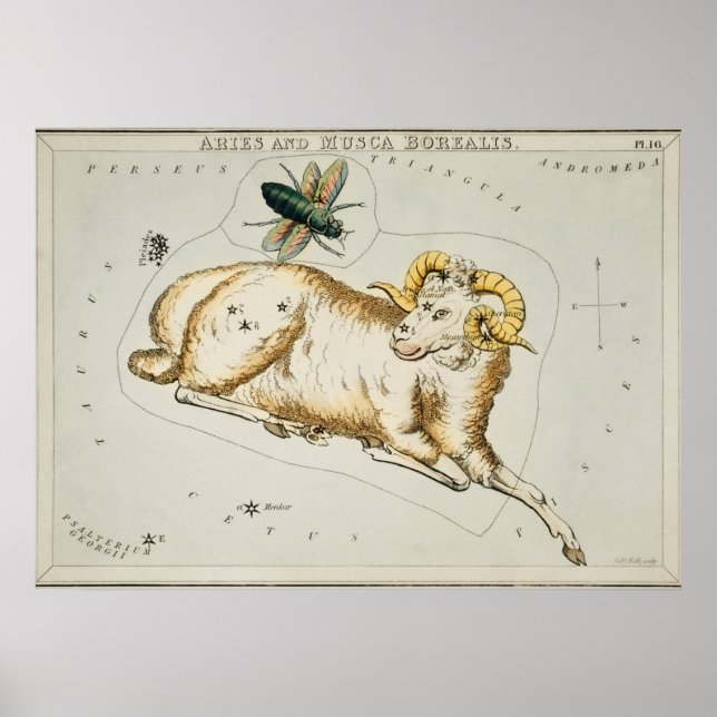Vintage Constellation Illustration Poster (Front)