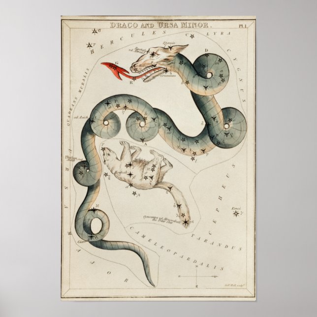 Vintage Constellation Illustration Poster (Front)