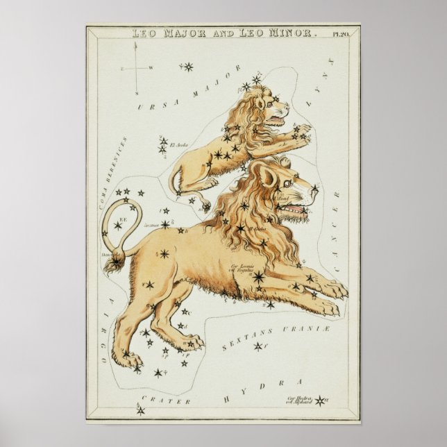 Vintage Constellation Illustration Poster (Front)
