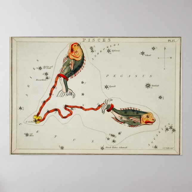 Vintage Constellation Illustration Poster (Front)