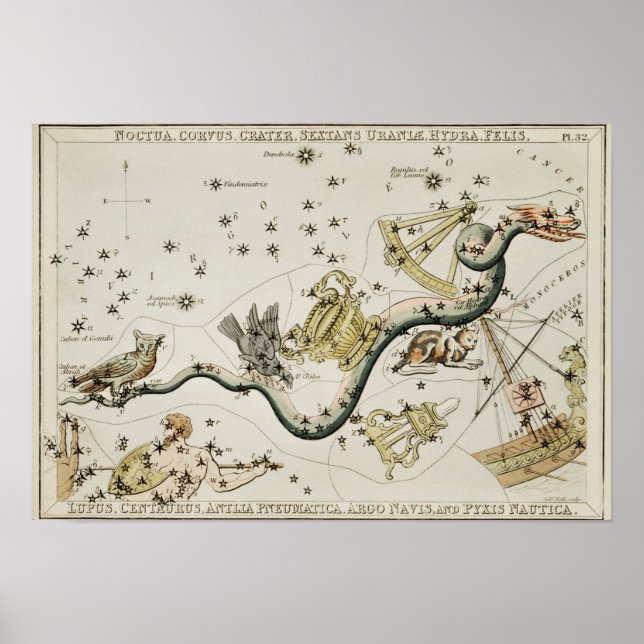 Vintage Constellation Illustration Poster (Front)