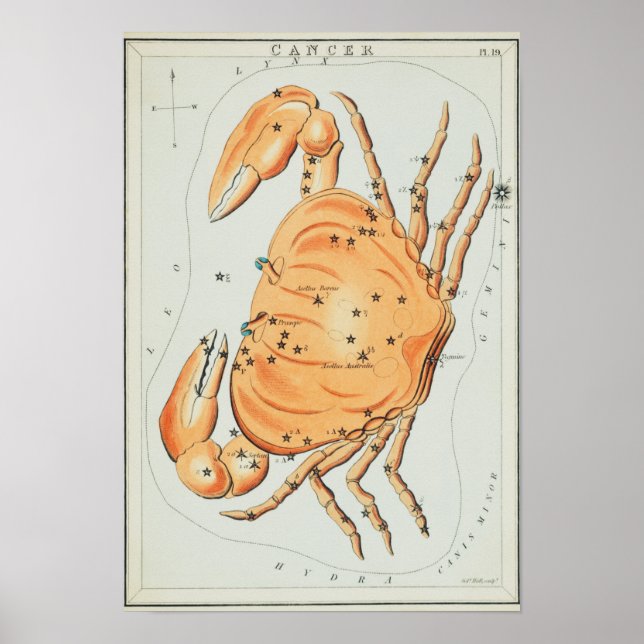 Vintage Constellation Illustration Poster (Front)