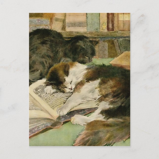 Vintage Contented Sleepy Fluffy Cats Announcement Postcard (Front)