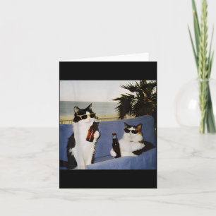 Vintage Cool Sungles Cat Drinking Beer Cat Meme Ca Card