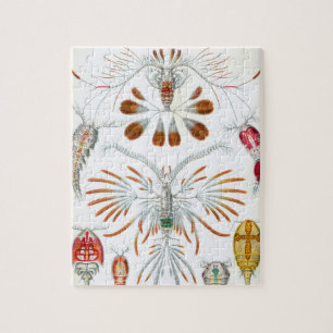 Vintage Copepoda Ocean Animals by Ernst Haeckel Jigsaw Puzzle
