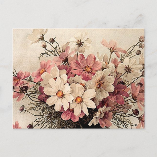 Vintage Cosmos Bouquet Postcard (Front)