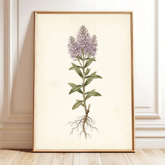 Vintage Cottage Botanical Canvas Print