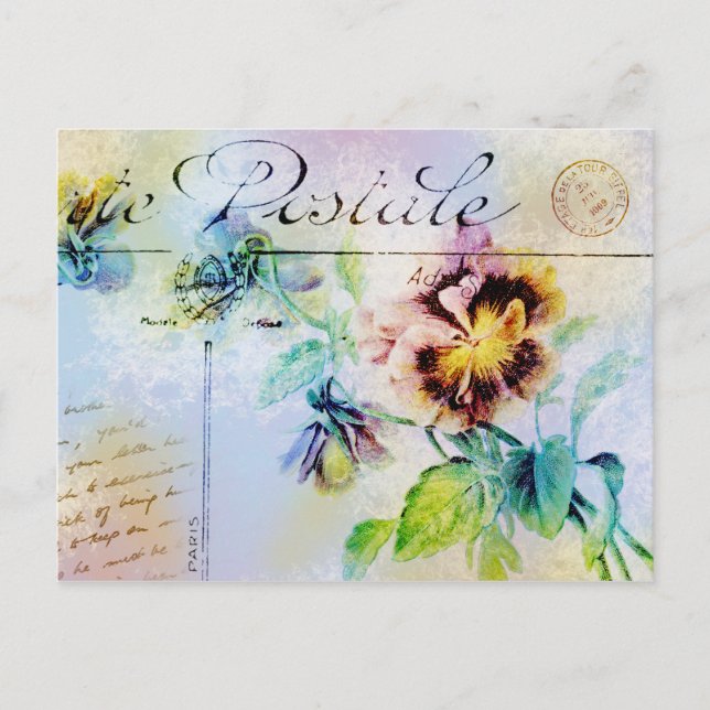 Vintage cottage pansy flower postcard PERSONALIZE (Front)