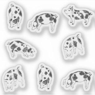 Vintage Cottagecore Pig LineArt Minimalist Pattern