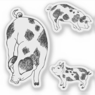 Vintage Cottagecore Pig LineArt Minimalist Pattern