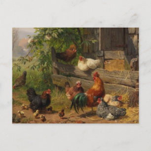 Vintage Country chickens farm postcard