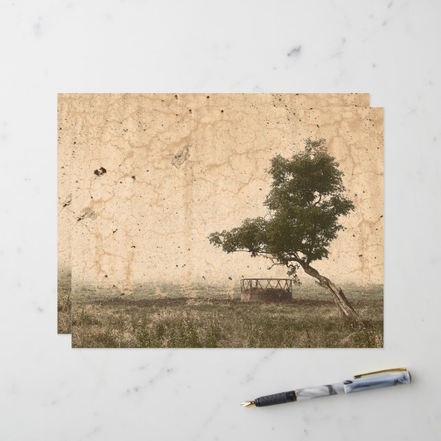 Vintage Country Tree Rustic Beige Antique Farm (Front/Back In Situ)