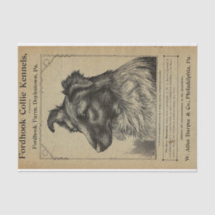 Vintage Cover Fordhook Farm Collie Kennels Tissue Paper