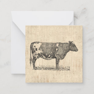 Vintage Cow Art Illustration w/ Script Background Card
