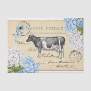 Vintage Cow Blue Flower Postcard Tissue Paper