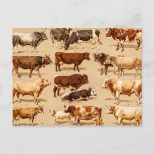 Vintage Cow Calf Bull Dairy Cows Farm Illustration Postcard