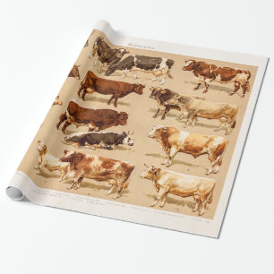 Vintage Cow Calf Bull Dairy Cows Farm Illustration Wrapping Paper