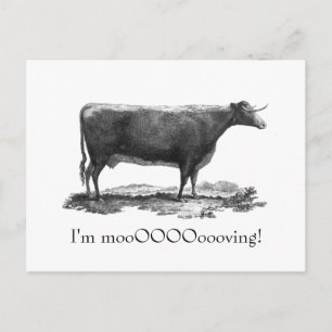Vintage cow change of address card