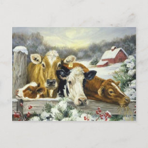 Vintage Cow Image Postcard