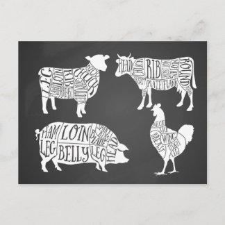 Vintage Cow Pig Chicken Butcher Meat Cuts Holiday Postcard
