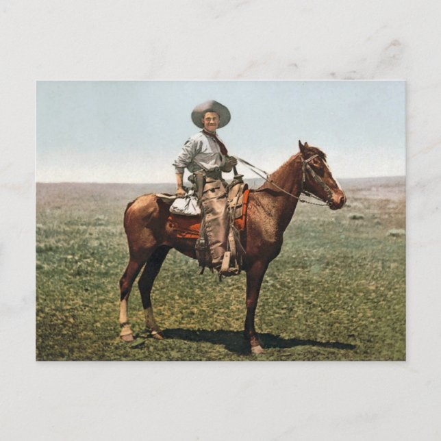 Vintage Cowboy - circa 1904 Postcard (Front)