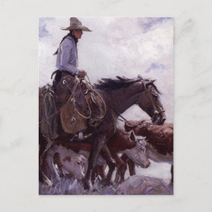 Vintage Cowboy with His Herd of Cattle by Koerner Postcard