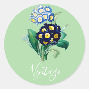 Vintage Cowslip Primrose botanical Classic Round Sticker