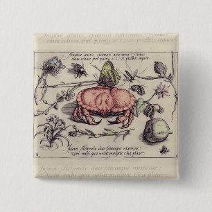 Vintage Crab, Botanicals, Insects, and Flowers 15 Cm Square Badge