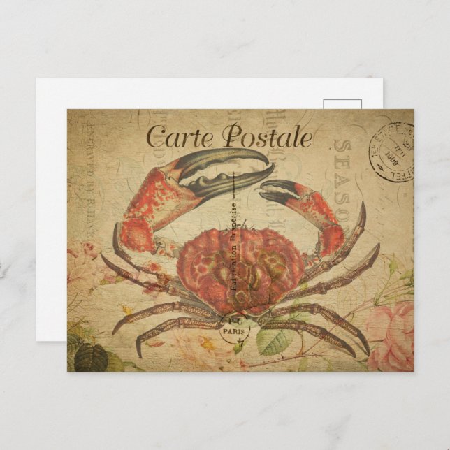Vintage Crab Postcard (Front/Back)