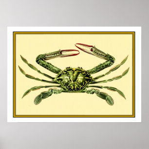 Vintage Crab Poster