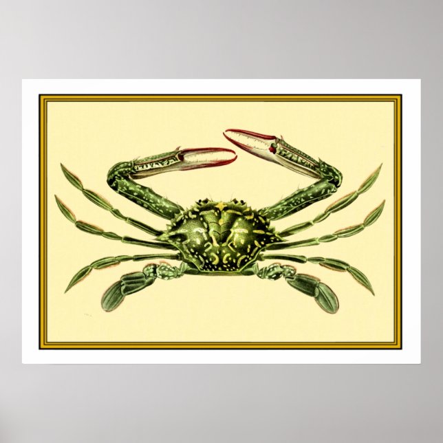 Vintage Crab Poster (Front)