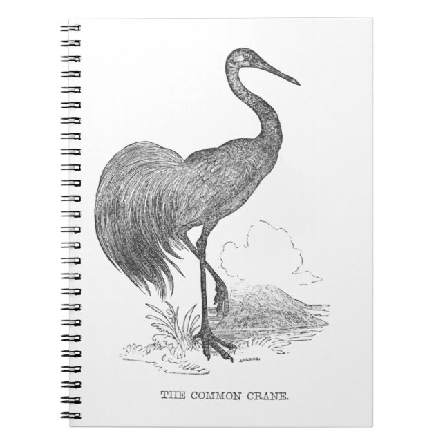Vintage Crane Bird Pen and Ink Drawing Notebook (Front)