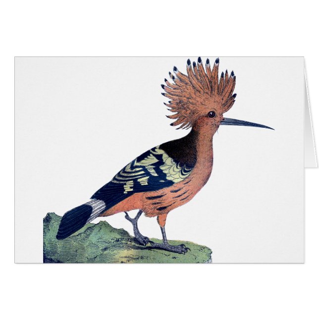 Vintage Crested Bird (Front Horizontal)