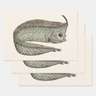 Vintage Crested Oarfish Fish, Marine Aquatic Life Wrapping Paper Sheet