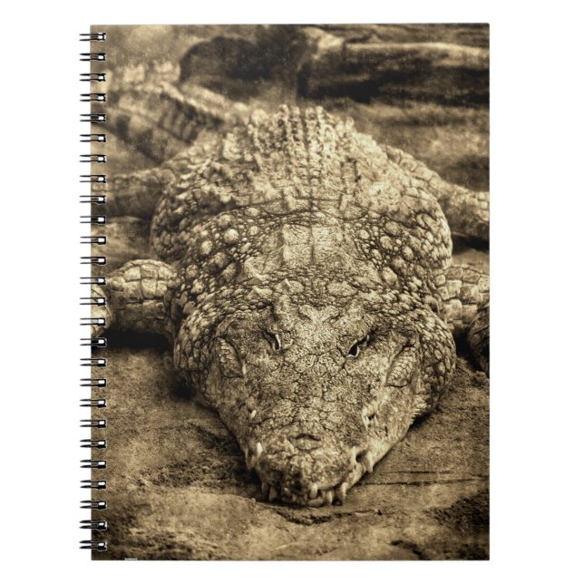 Vintage Crocodile Notebook (Front)