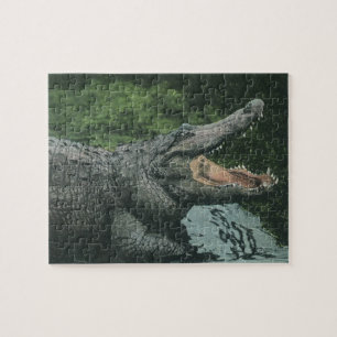 Vintage Crocodile Reptiles, Marine Animal Life Jigsaw Puzzle