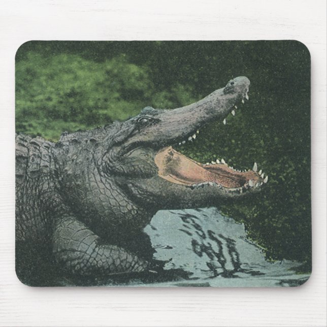 Vintage Crocodile Reptiles, Marine Animal Life Mouse Mat (Front)