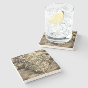 Vintage Crocodile Stone Coaster