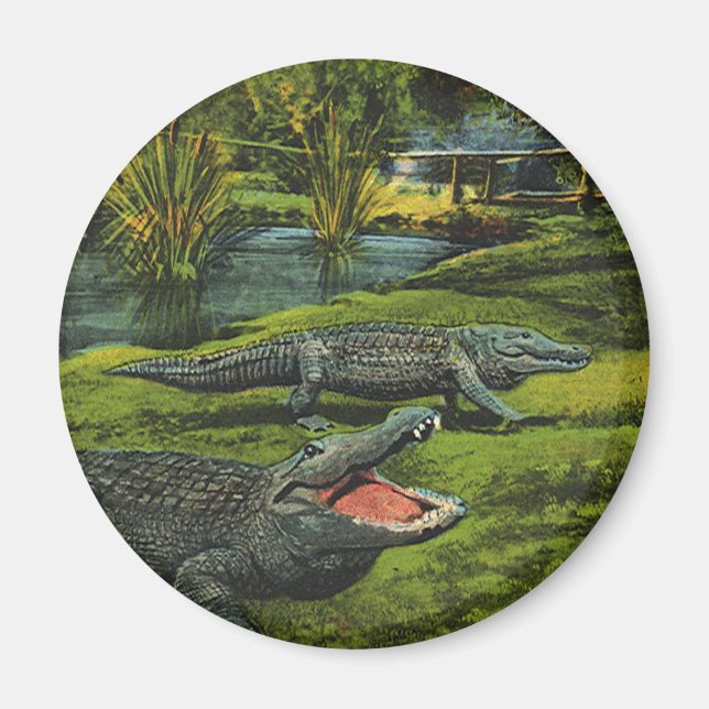 Vintage Crocodiles, Marine Life Reptiles Animals Magnet (Front)