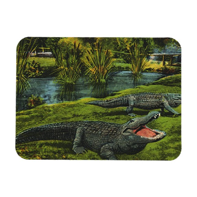 Vintage Crocodiles, Marine Life Reptiles Animals Magnet (Horizontal)