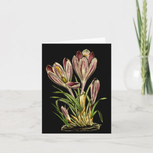 Vintage Crocus Flower Botanical Plants For Men And Card